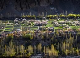 Trekking Tours Expeditions