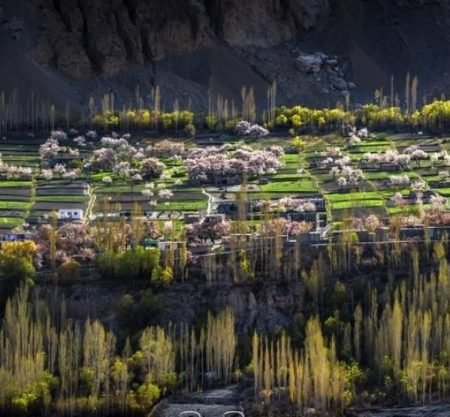 Trekking Tours Expeditions