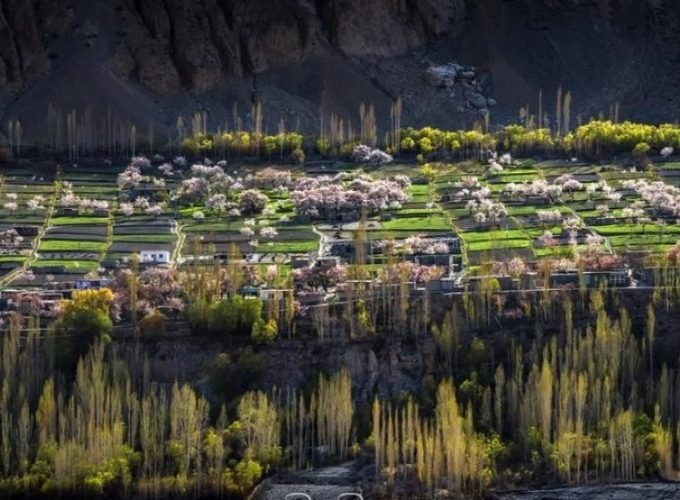 Trekking Tours Expeditions