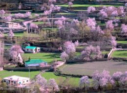 Trekking Tours Expeditions