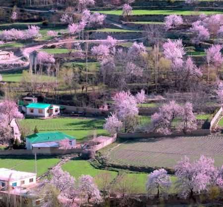 Trekking Tours Expeditions
