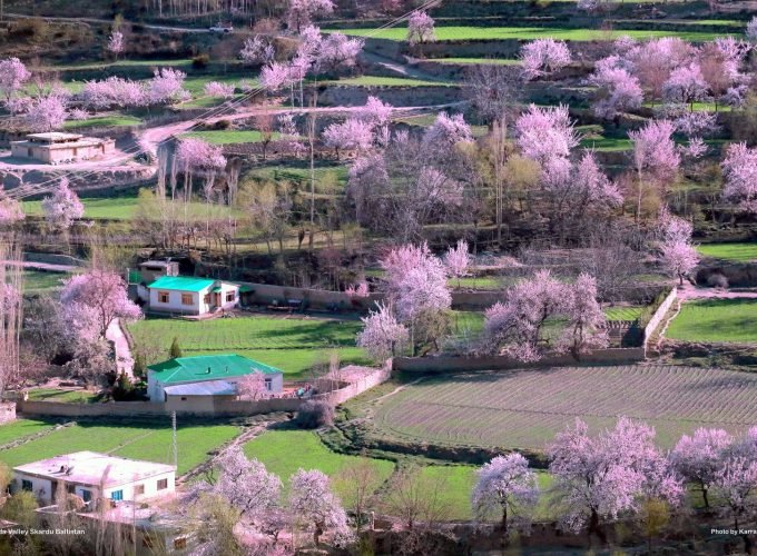 Trekking Tours Expeditions
