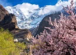 hunza blossom tour