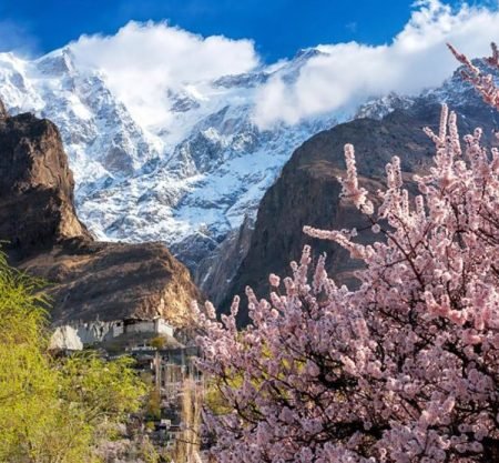 Trekking Tours Expeditions