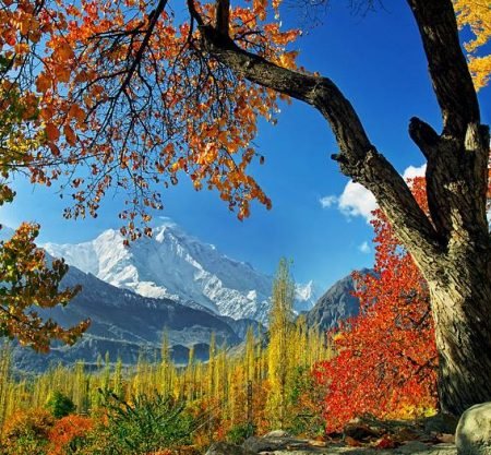 Trekking Tours Expeditions