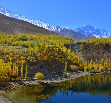 Trekking Tours Expeditions